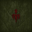 Yggdrasil - Wardruna LP