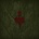Yggdrasil - Wardruna LP