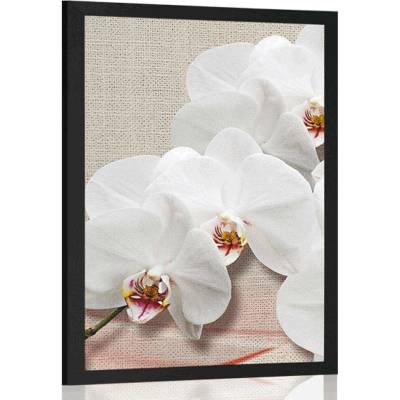 Plakát bílá orchidej na plátně - 60x90 no frame