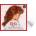 Reba McEntire - The Ultimate Christmas Collection (White Coloured) (LP) (602448337504)
