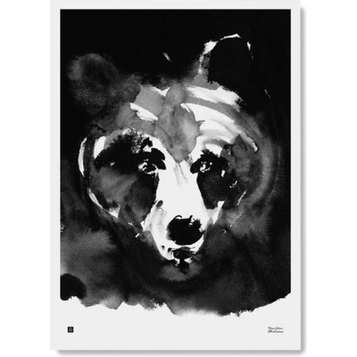 Teemu Järvi Plagát s motívom medveďa Mysterious bear 50x70