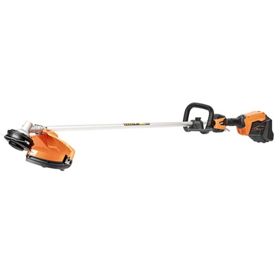 Hahn & Sohn Cedrus BC420L-B 60V