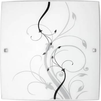 Image 1 of Rábalux Elina 3693