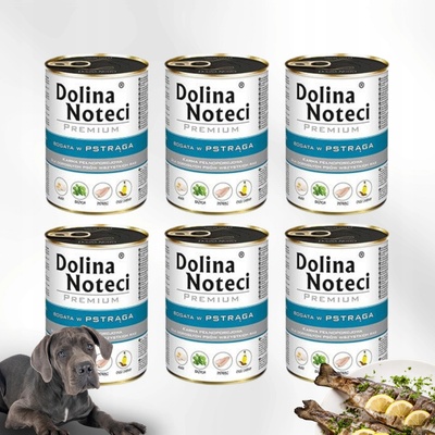 Dolina Noteci Premium pstruh 400 g