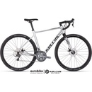 Kellys Soot 30 2024
