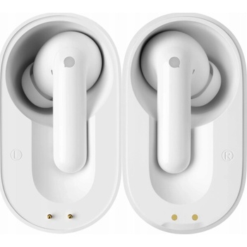 Timekettle M3 Offline
