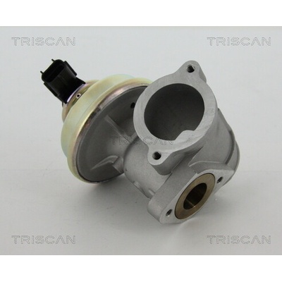 AGR - Ventil TRISCAN 8813 16102