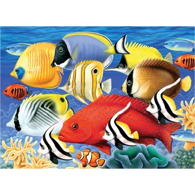 Maľovanie podľa čísiel formát A3 Tropické ryby