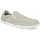 Saguaro Relax V světle zelené