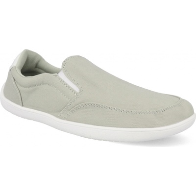 Saguaro Relax V světle zelené