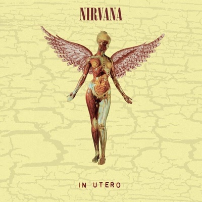 Nirvana - In Utero Limited Edition Vinyl +10 LP