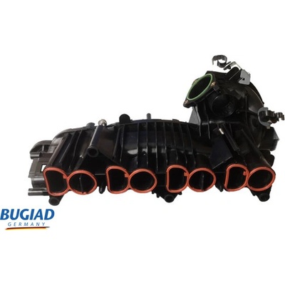 BUGIAD BIM17041