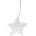 Raeder Коледна висулка Ice Star Град: 8, 5 см (C92221)