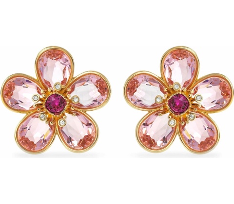 Swarovski 5656635
