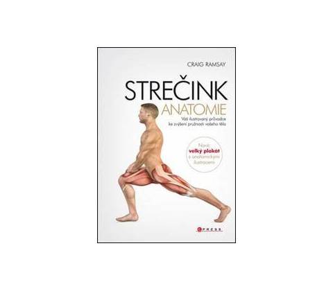 Strečink - anatomie