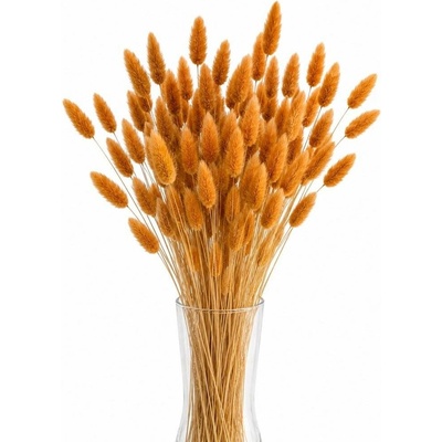 Sušený lagurus (králičí ocásek) oranžový 45g