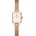 Daniel Wellington DW00100727