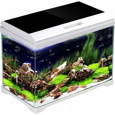 SunSun Supreme AquaPlant 19 l
