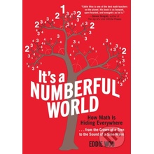 Its a Numberful World - Eddie Woo