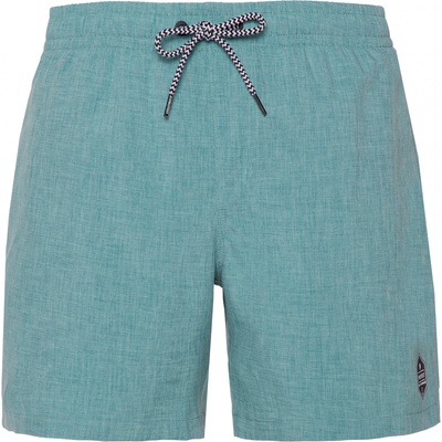 Protest Мъжки бански слипове Protest PRTDavey Swim brief - Arcticgreen - размер XXL (050-0836-0716)