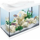 Tetra Starter Line LED akvarijný set biely 80 l