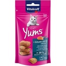 Krmivo pre mačky Vitakraft Cat pochoutka Yums losos 40 g