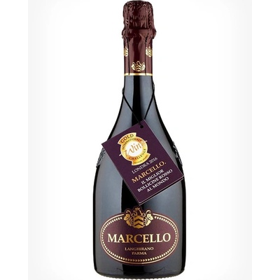 Ariola Marcello Grand Cru Frizzante Dry Lambrusco suché červené NV 10,5% 0,75 l (čistá fľaša)