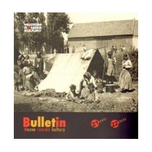 Bulletin Muzea romské kultury 21-22/2012-2013