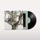 Destroyer - Labyrinthitis LP