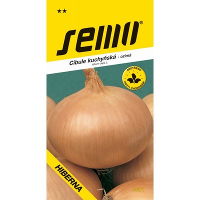 Cibule Hiberna ozimá