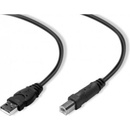 Belkin F3U153CP1.8M USB 2.0 prodlužovací řada standard, 1,8m