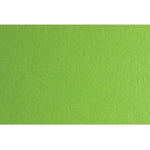 Fabriano Картон Colore, 50 x 70 cm, 140 g/m2, № 230, тревистозелен (43303230/2_VER.PIS)