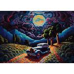 Art Puzzle - Puzzle A Night in Transylvania - 1 000 piese