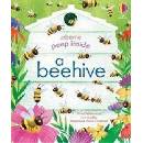 Peep Inside a Beehive