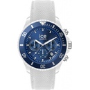 Ice Watch 020624
