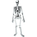 Learning Resources Pěnová puzzle kostra