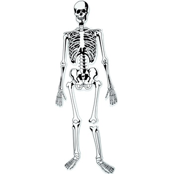 Learning Resources Pěnová puzzle kostra