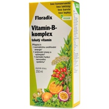 Floradix Vitamin B-Komplex 250 ml