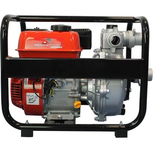 Bisonte BTA-MPP50 (BT6000034)