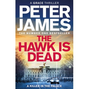 Untitled Roy Grace Book 21 | Peter James (2025)
