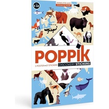 Poppik Samolepkový plakát vzdělávací Zvířata světa