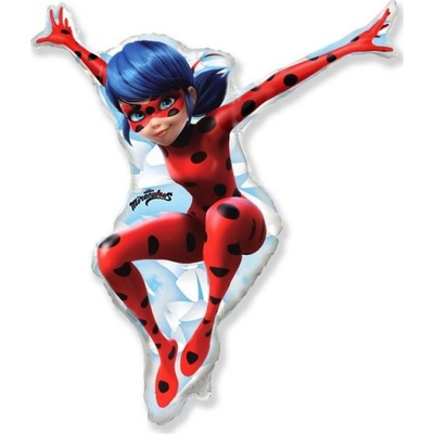 Flexmetal Fóliový balónek 24 FX Miraculum