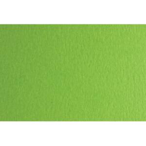 Fabriano Картон Colore, 70 x 100 cm, 140 g/m2, № 230, тревистозелен (43303230/100_VER.PIS)