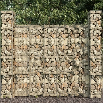 zahrada-XL Gabionová zeď s víkem z pozinkované oceli 600 x 50 x 200 cm