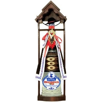 Goral Drienkovica 45% 3 l (kazeta)