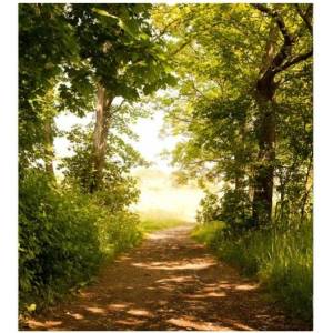 DIMEX ART Флизелинов фототапет горска пътека 225 x 250 см