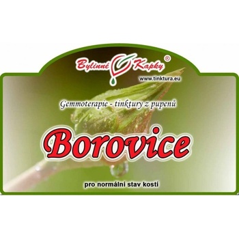 Bylinné kapky Borovice 50 ml