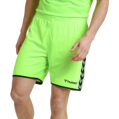 Hummel AUTHENTIC POLY shorts 204924-6750