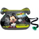 Compass 2019 Mickey Mouse