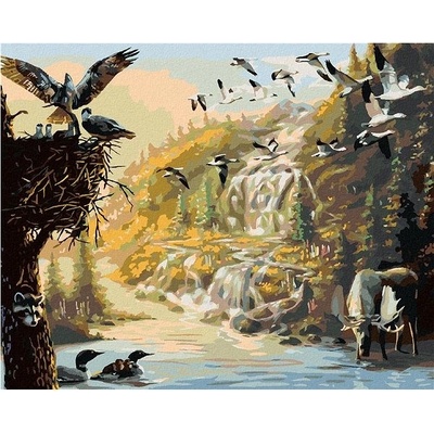 Zuty malování Podle ČíselLos Ptáci A Kachny U Napajedla D. Rusty Rust 40 x 50 Cm Plátno Rám